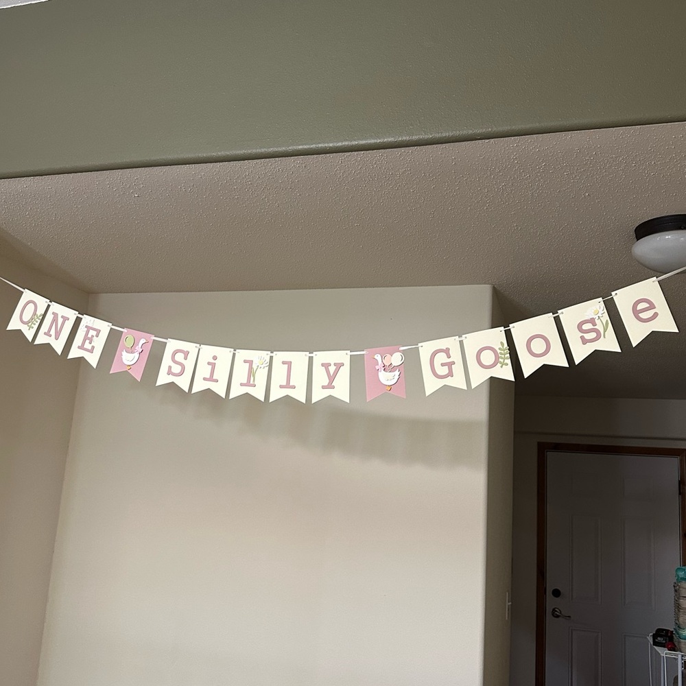One Silly Goose Pink and Cream Party Banner - Home Party Supplies